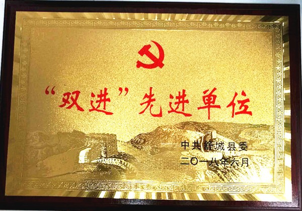 “双进”先进单位 .jpg