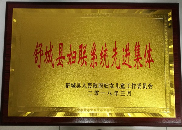 妇联系统先进集体.jpg