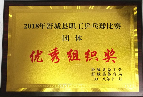 优秀组织奖.jpg